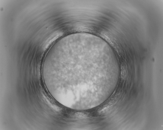 X0000089370390200707061119