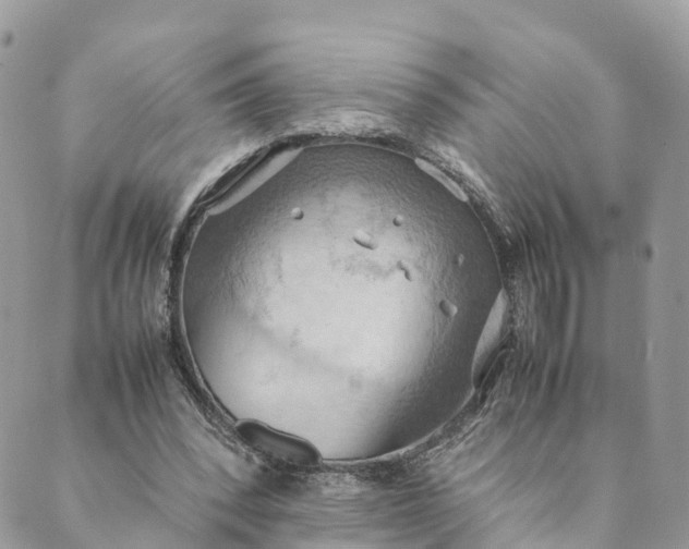 X0000089370392200707061119