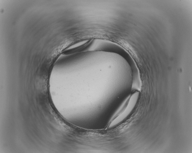 X0000089370393200707061119