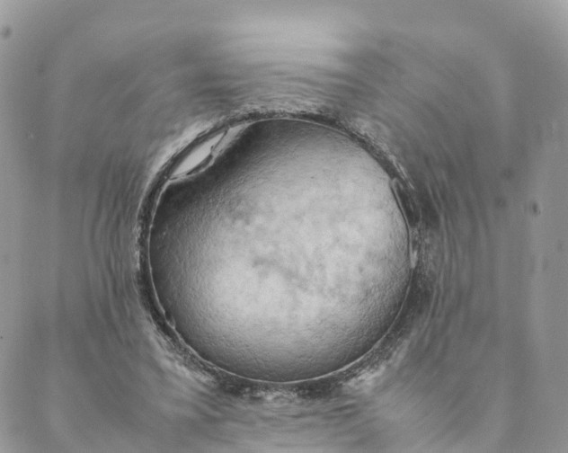 X0000089370395200707061119