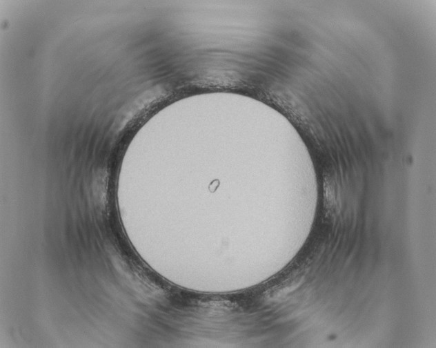 X0000089370396200707061119