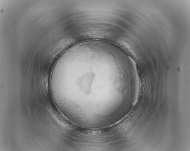 X0000089370398200707061119