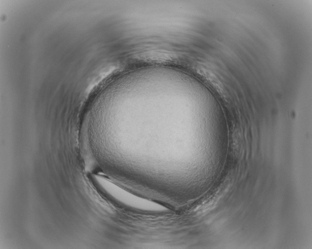 X0000089370399200707061119