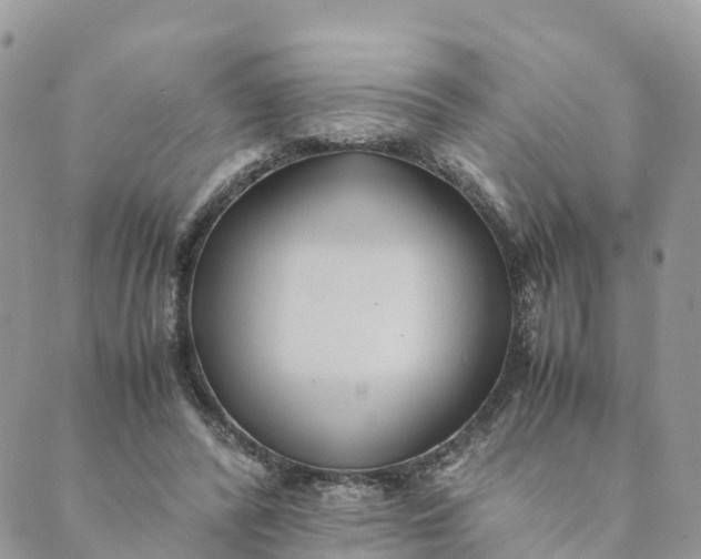 X0000089370400200707061119