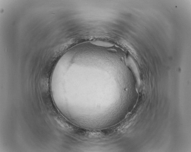 X0000089370401200707061119