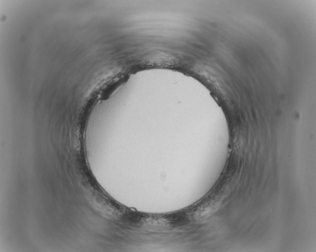 X0000089370403200707061119