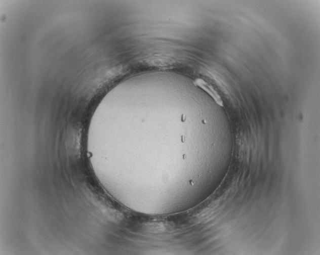 X0000089370404200707061119