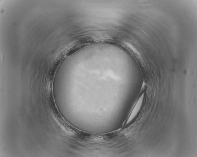 X0000089370405200707061119