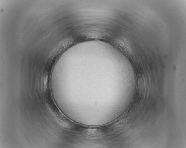 X0000089370406200707061119