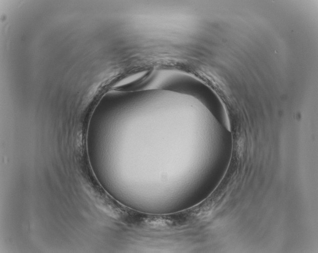 X0000089370407200707061119