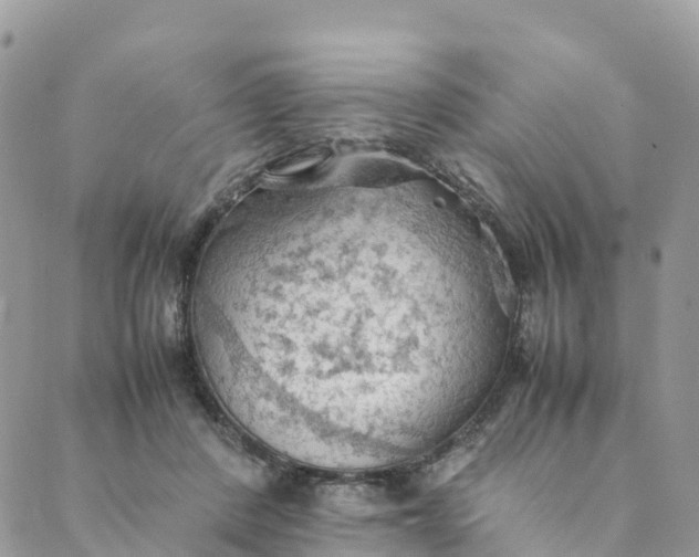 X0000089370408200707061119