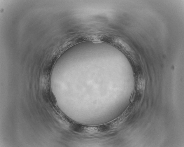 X0000089370409200707061119