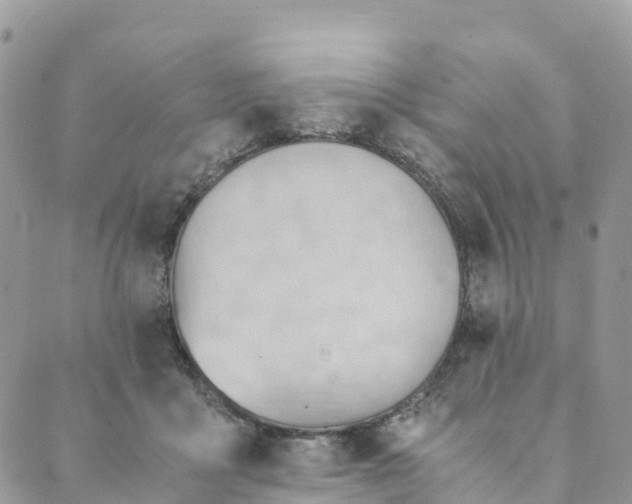 X0000089370411200707061119