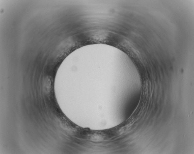 X0000089370412200707061119