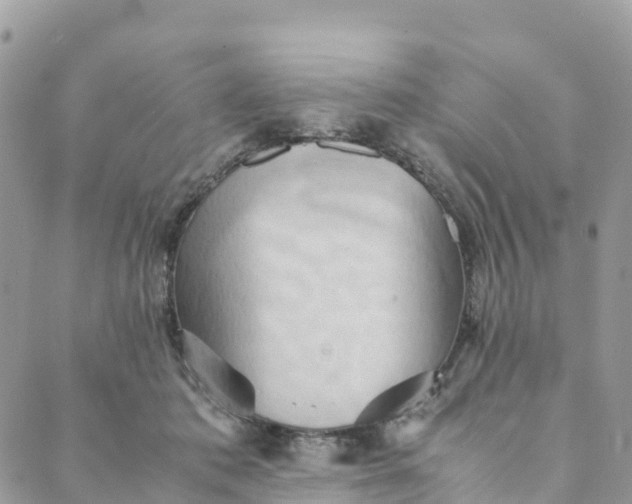 X0000089370413200707061119