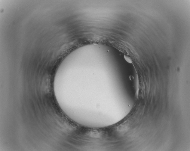 X0000089370416200707061119