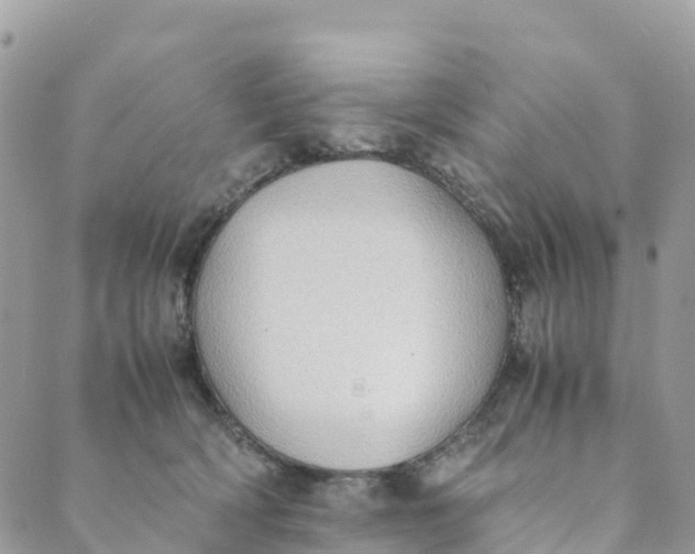 X0000089370418200707061119