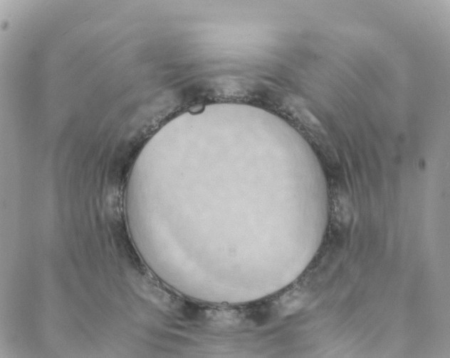 X0000089370419200707061119