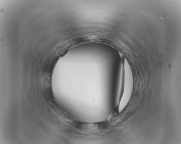 X0000089370421200707061119