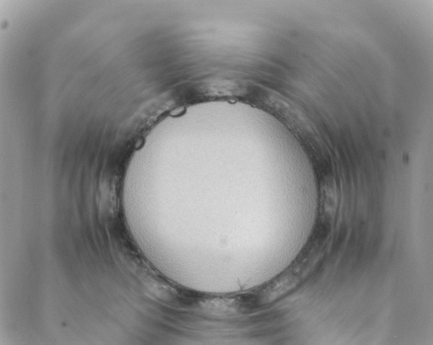 X0000089370422200707061119