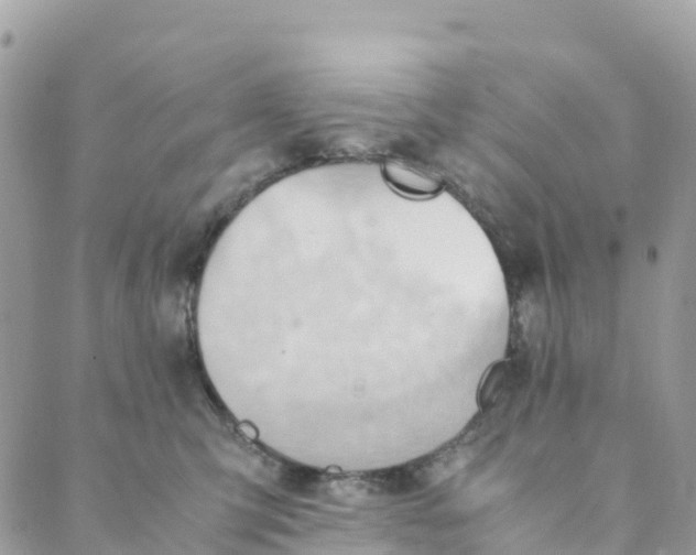 X0000089370423200707061119