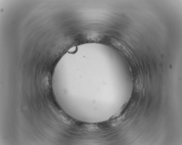 X0000089370424200707061119