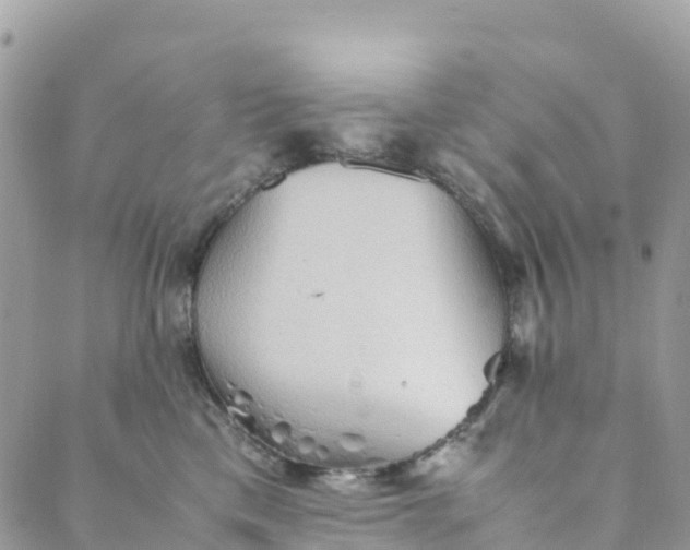 X0000089370425200707061119