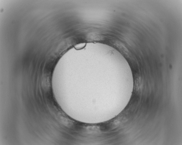 X0000089370426200707061119