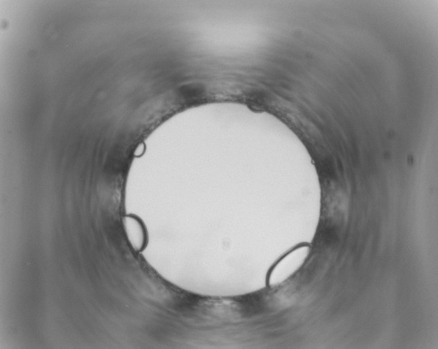 X0000089370427200707061119