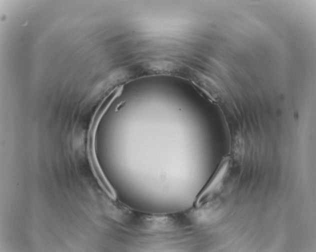 X0000089370428200707061119