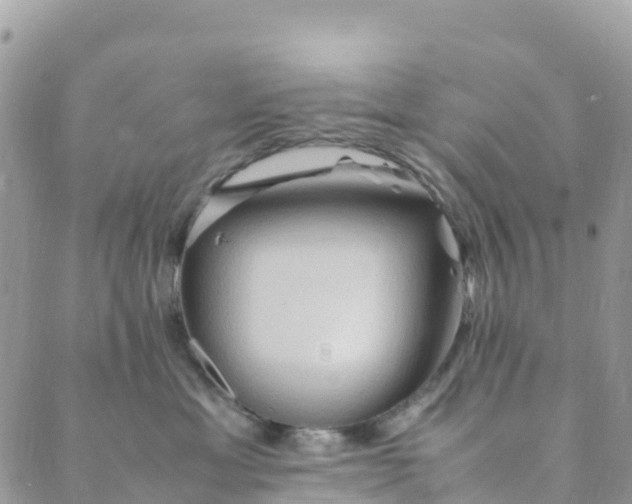 X0000089370429200707061119