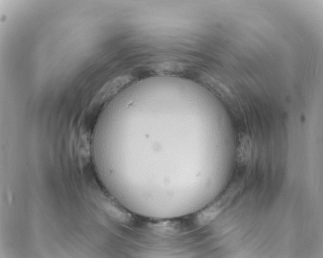 X0000089370430200707061119