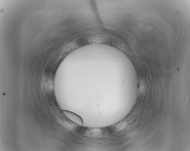 X0000089370431200707061119