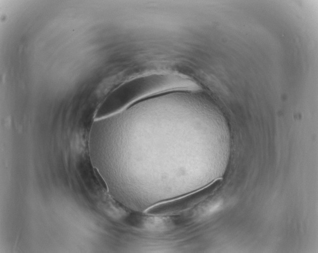 X0000089370432200707061119