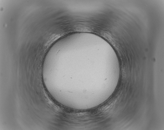 X0000089370433200707061118