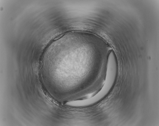 X0000089370434200707061118