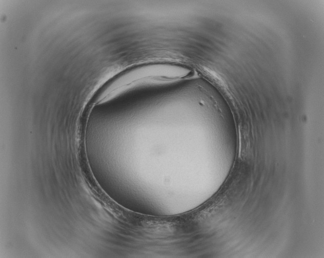 X0000089370435200707061118