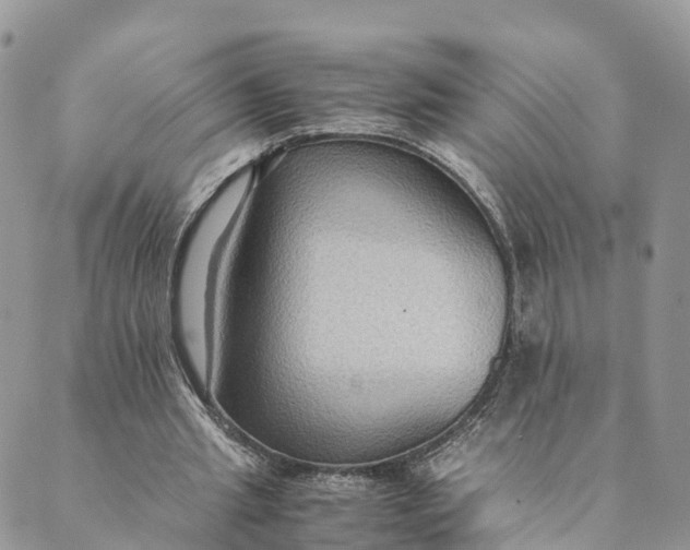 X0000089370437200707061118