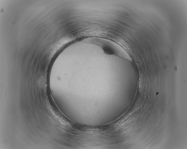 X0000089370438200707061118