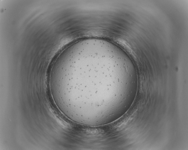 X0000089370439200707061118