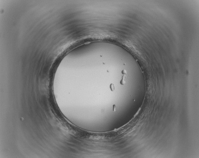 X0000089370440200707061118