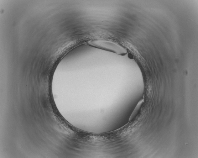 X0000089370442200707061118