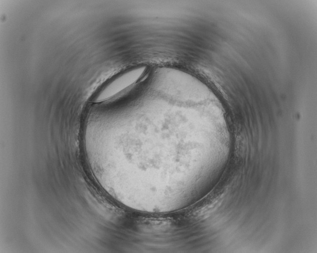 X0000089370443200707061118