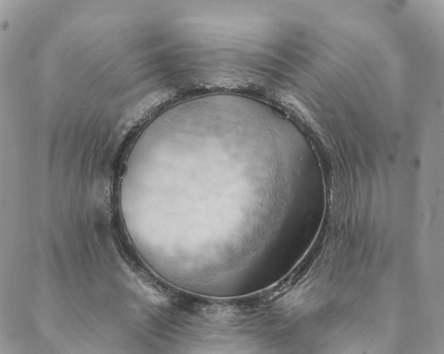 X0000089370444200707061118