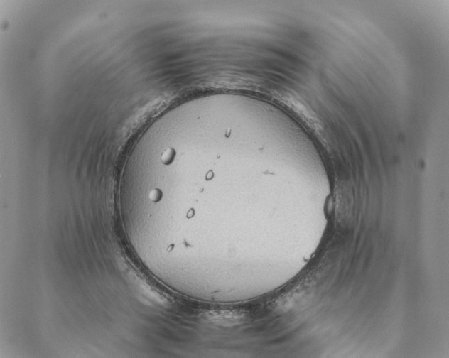 X0000089370445200707061118