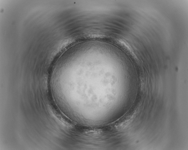 X0000089370447200707061118