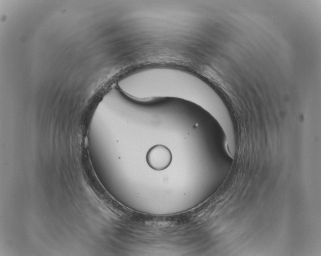 X0000089370448200707061118