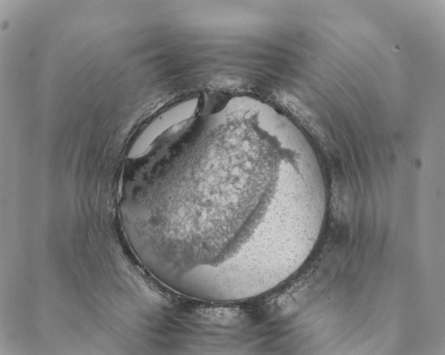 X0000089370449200707061118