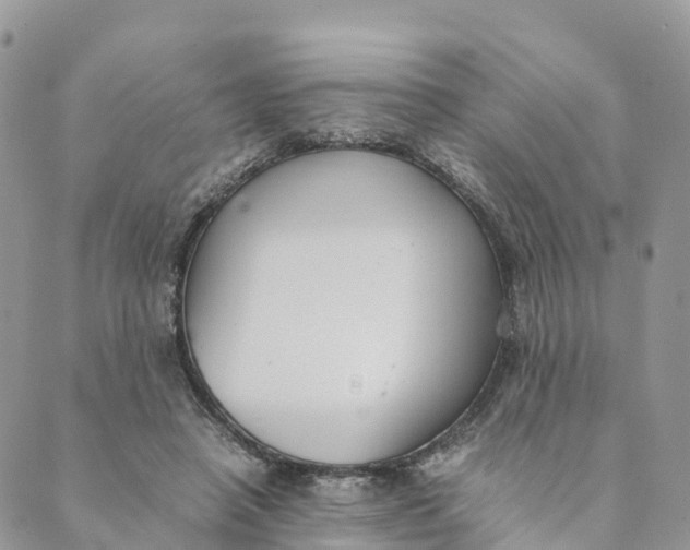 X0000089370450200707061118