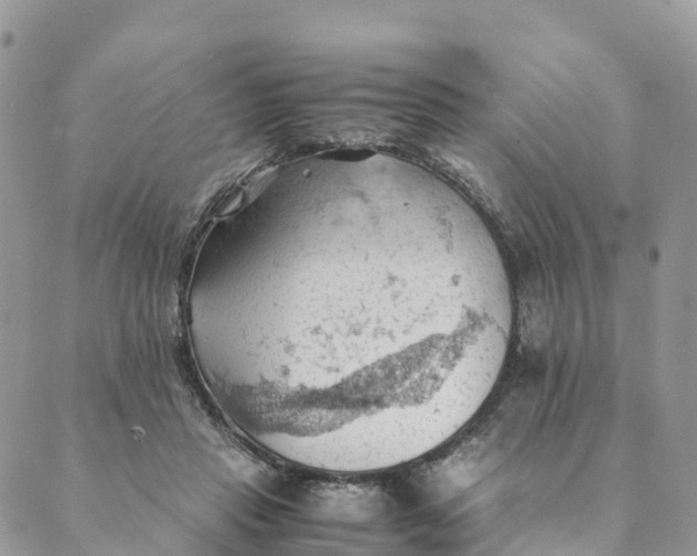 X0000089370453200707061118